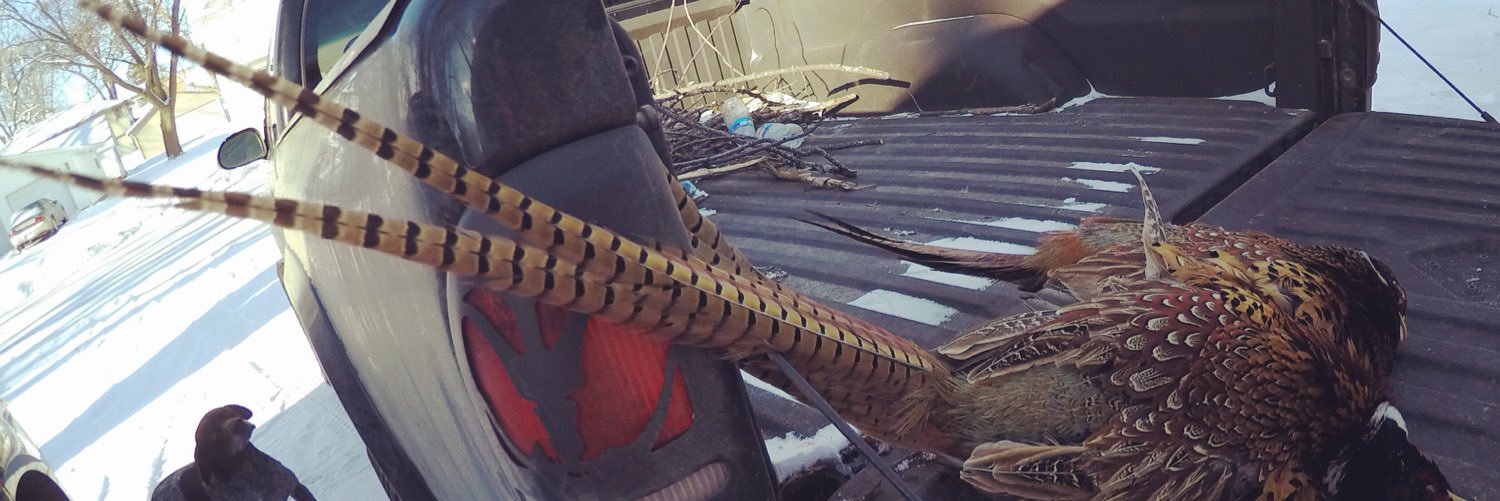 SethLoMo's profile banner image