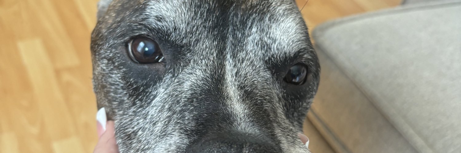 lailatigerlilly's profile banner image
