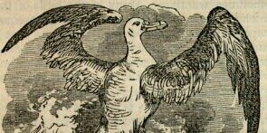ColeridgeSamue's profile banner image