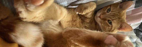 BreezyDecker Profile Banner