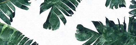 HopeKeenan's profile banner image
