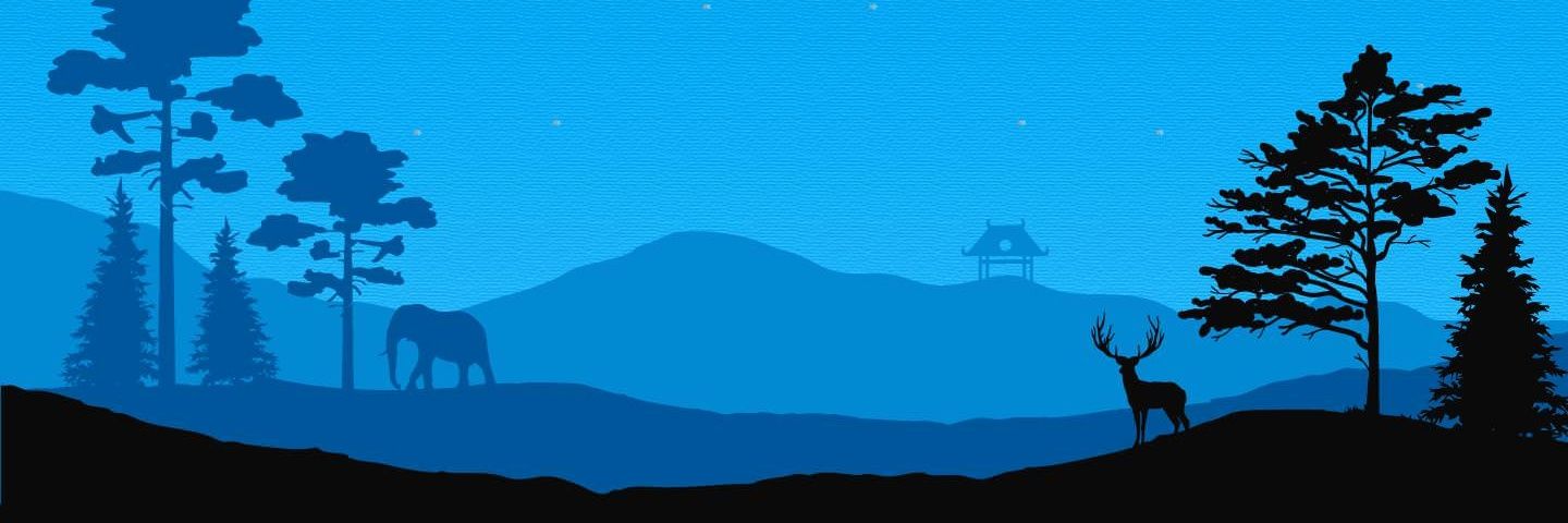 shark_edd's profile banner image