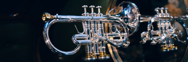 trpudon Profile Banner