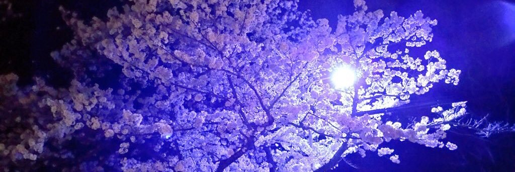moon86oo's profile banner image