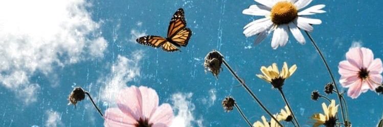 jaylamneal's profile banner image
