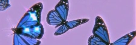 AnneMarie__S's profile banner image