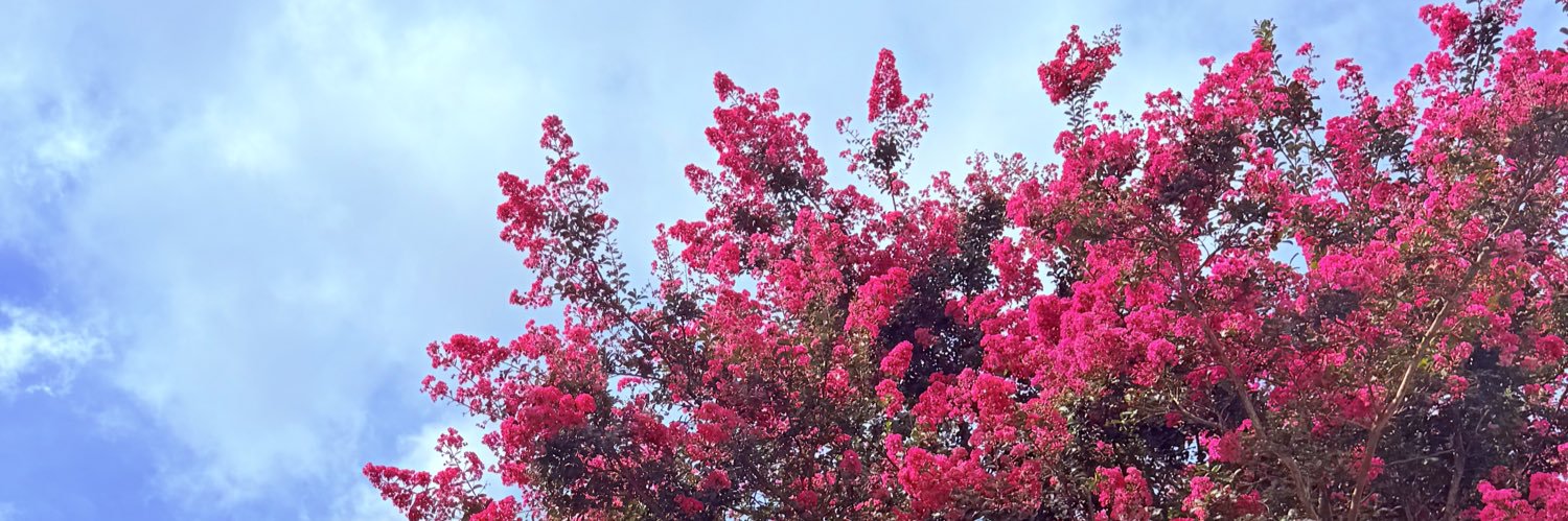 alexiss_e02's profile banner image