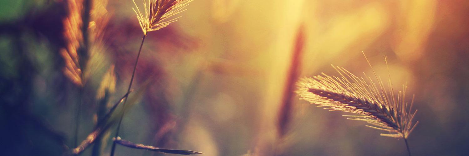 andreacl's profile banner image