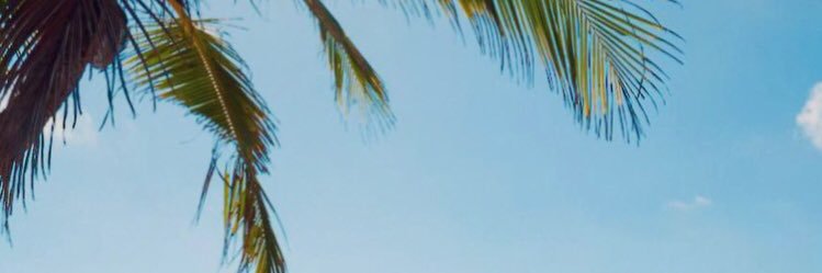 marzidog's profile banner image
