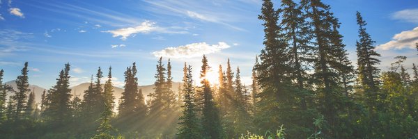 NEForestry Profile Banner