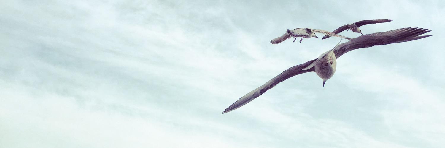 Charlotte7687's profile banner image