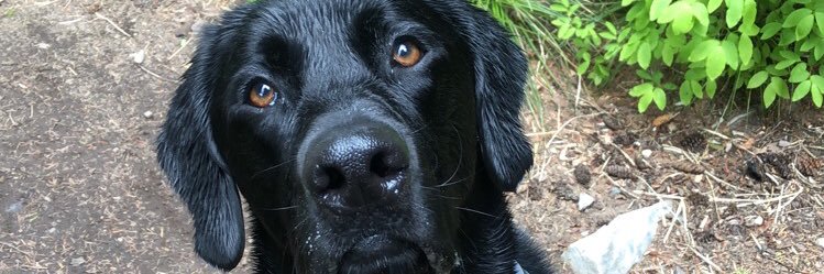 brookebircher's profile banner image