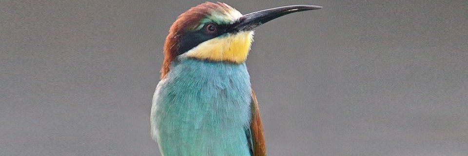 John_BruceLong's profile banner image