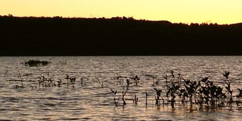 BoiseAnglers's profile banner image