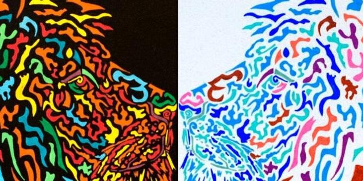 TchekiServal's profile banner image