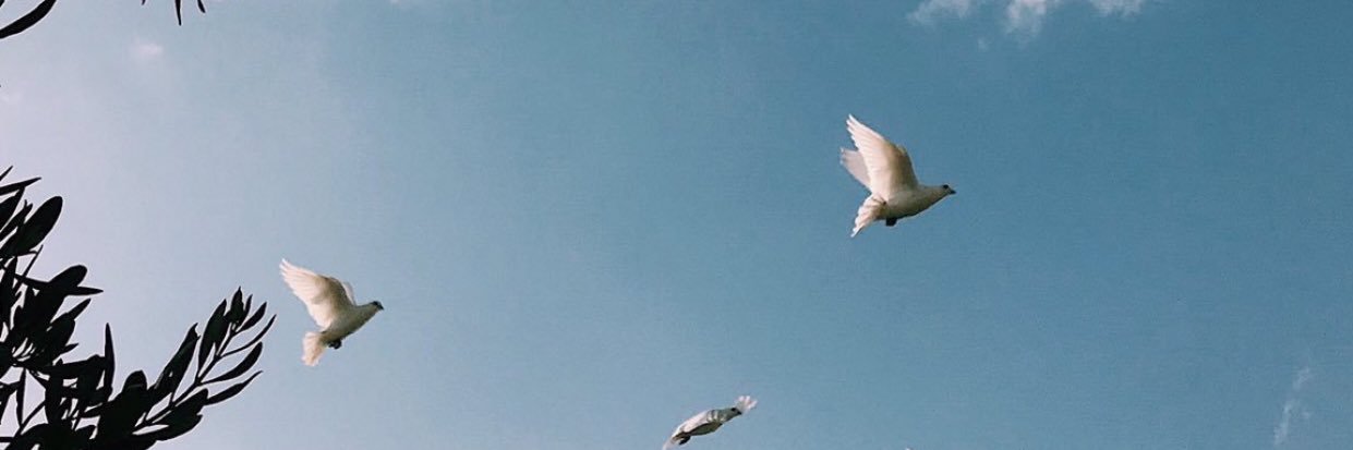ndo_sha22's profile banner image