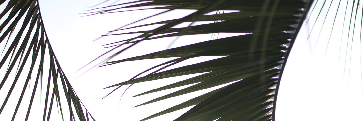 KatieFanning7's profile banner image