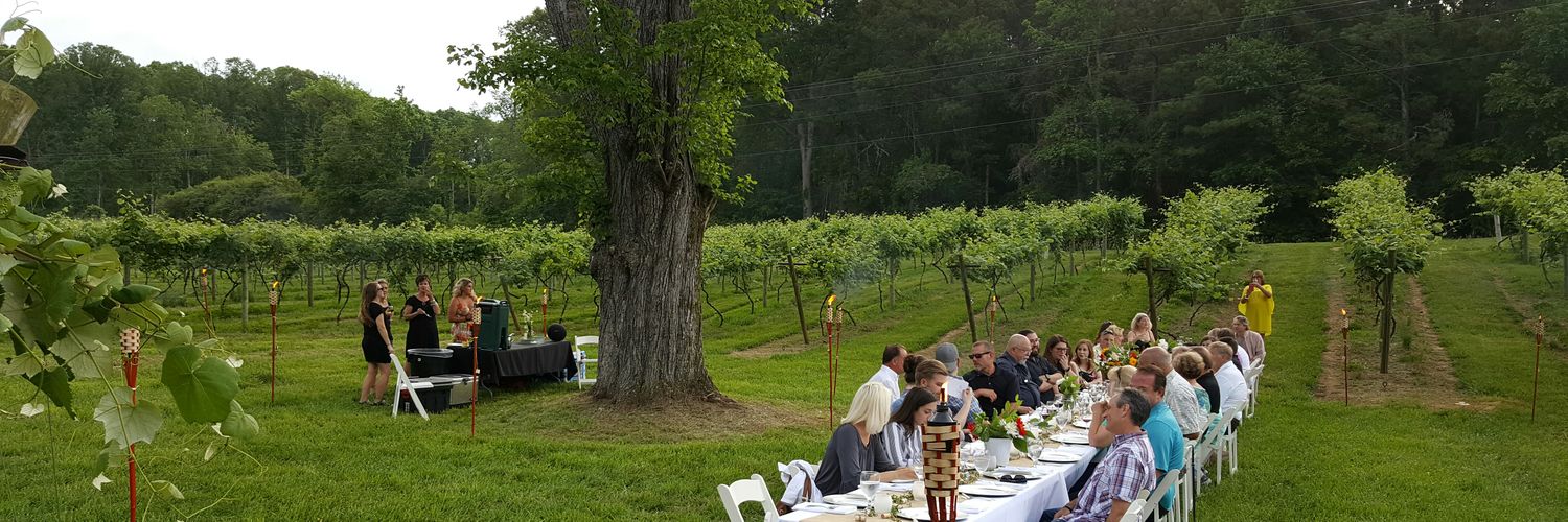 Cartecay Vineyards banner