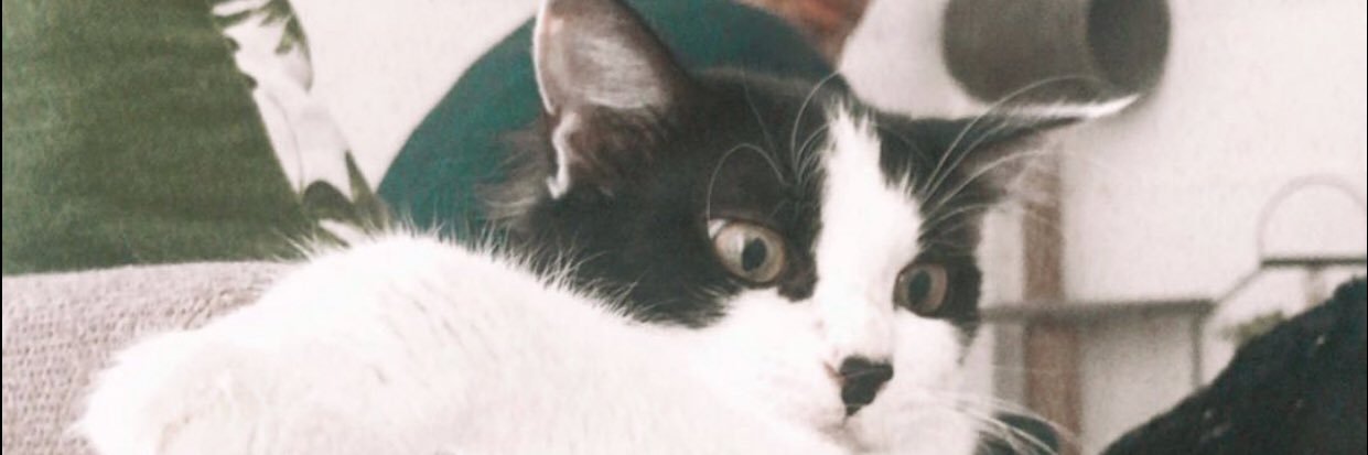 TheoDamdam's profile banner image