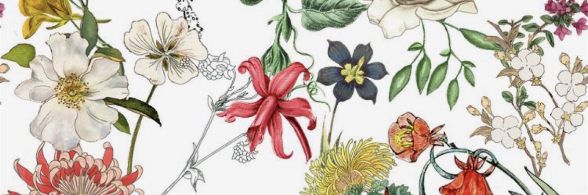 MillicentJune's profile banner image