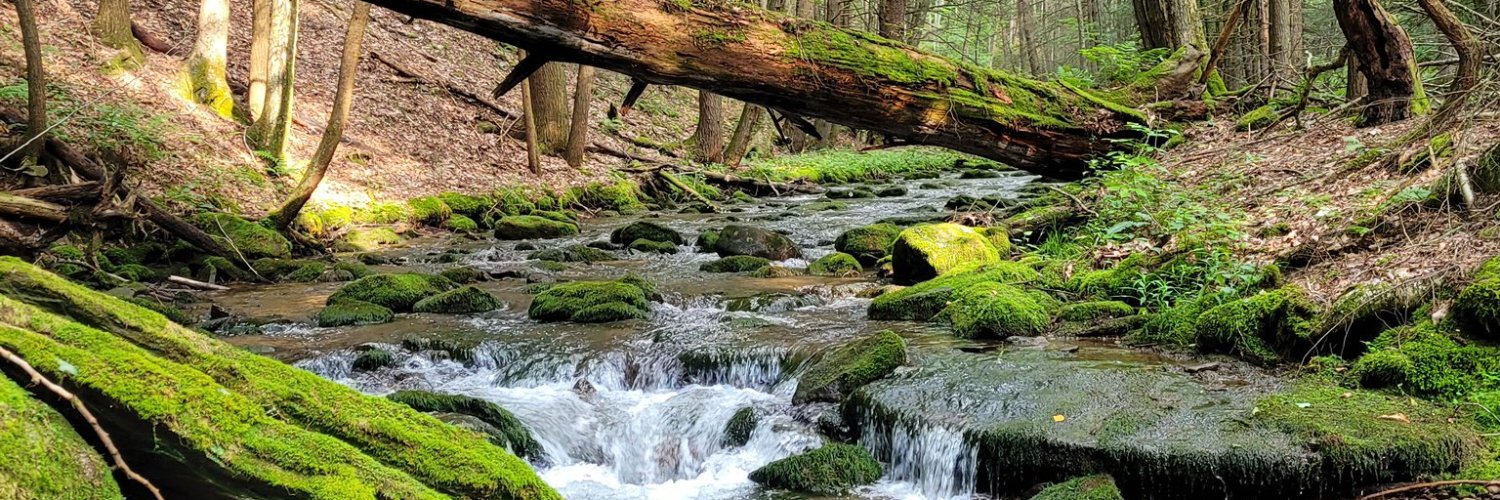 PSUecosystems's profile banner image