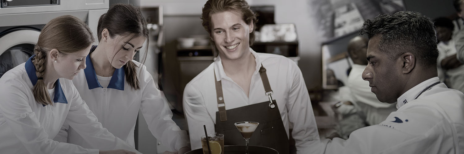 Electrolux Pro IT banner