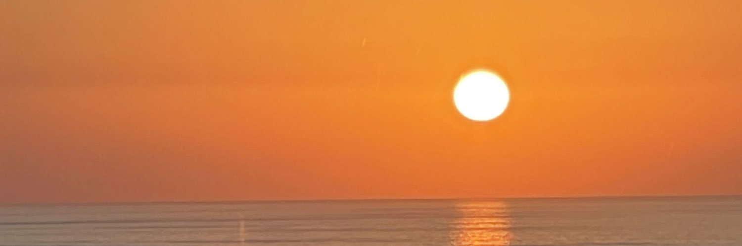 SaryaMrowa's profile banner image