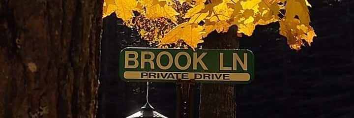 brookmoon2's profile banner image