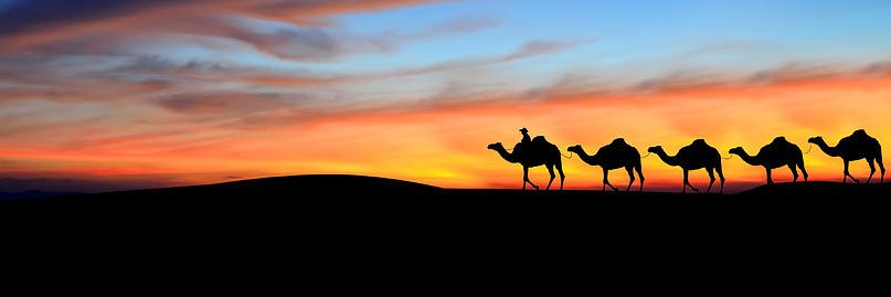 juwaied's profile banner image