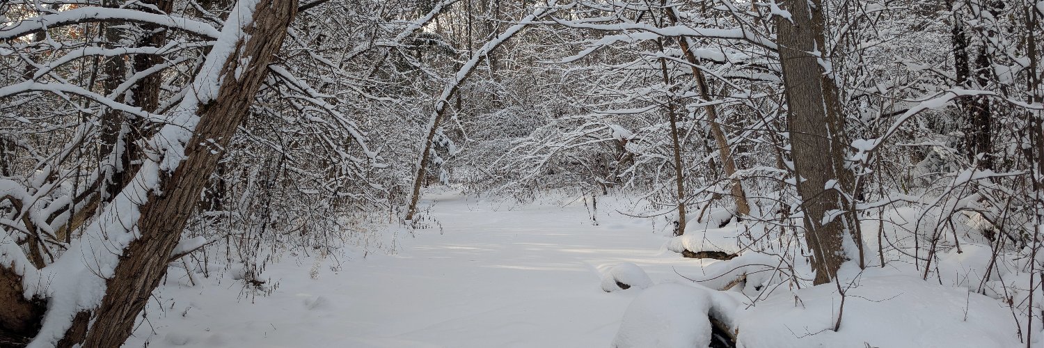 ThomasEmbree's profile banner image