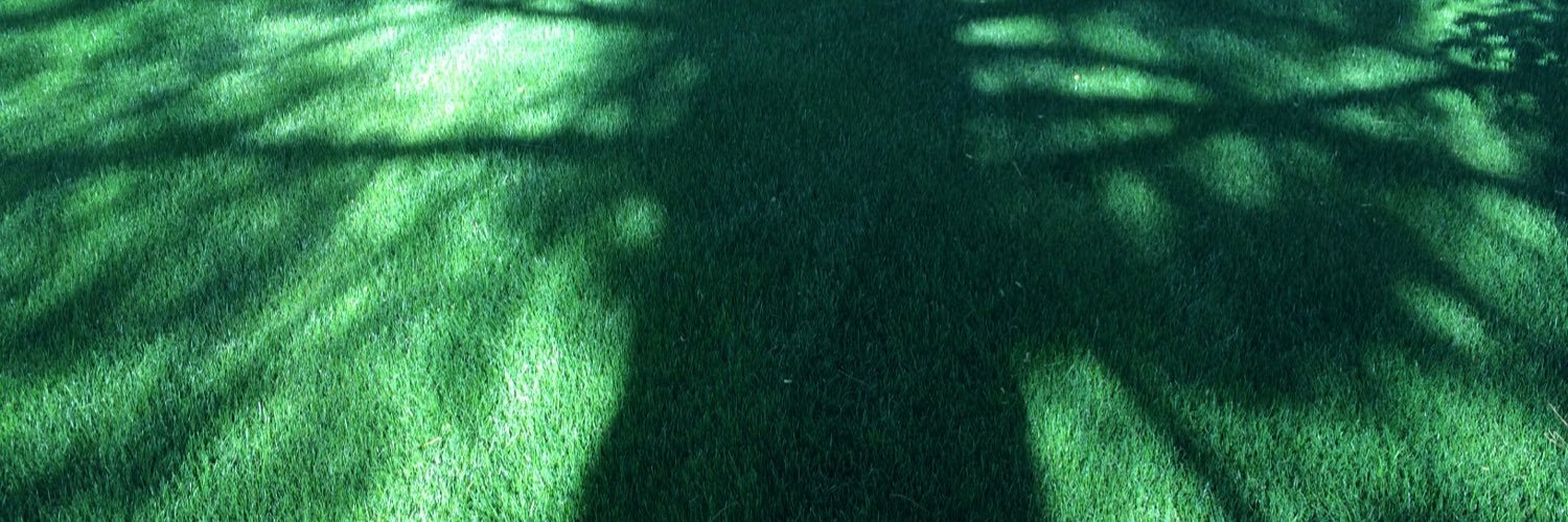 turftalker's profile banner image