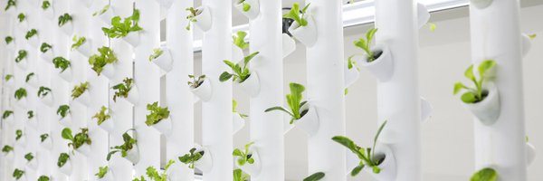 ponixfarms Profile Banner