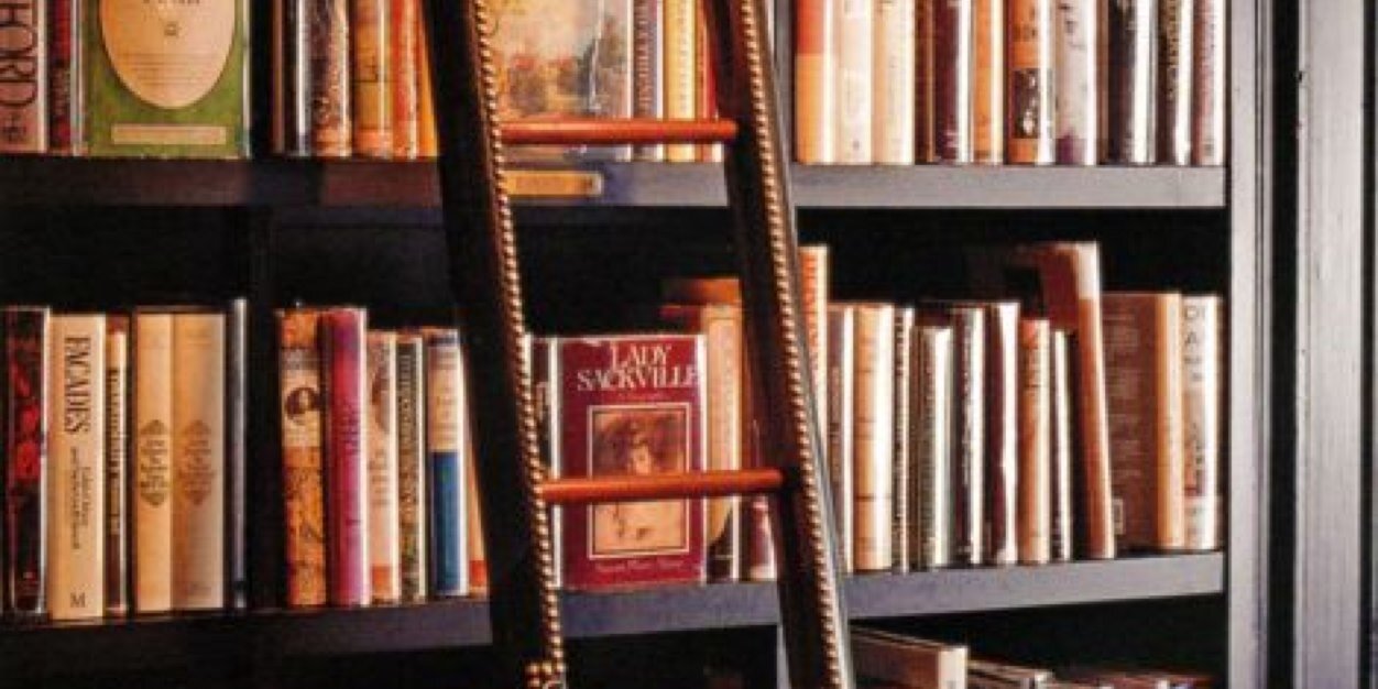 birbilendena's profile banner image