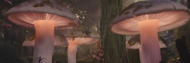 _CeCe19XX_'s profile banner image