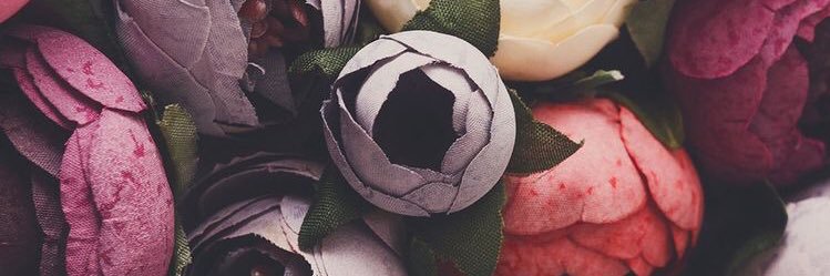 msmccrackin's profile banner image