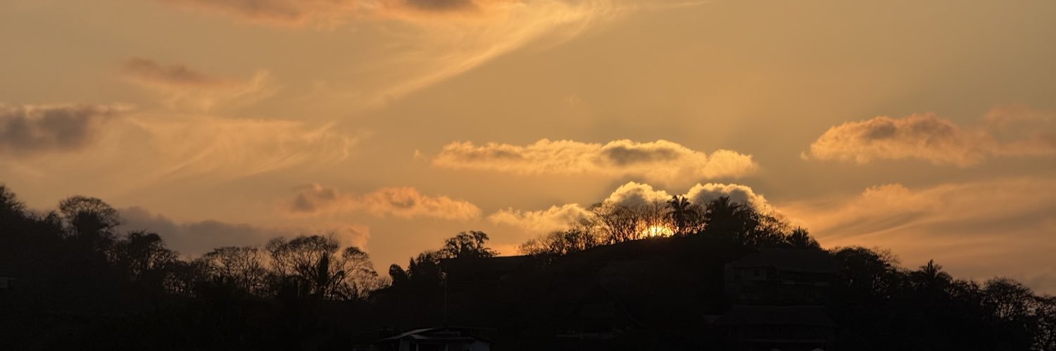 dnksnchz's profile banner image