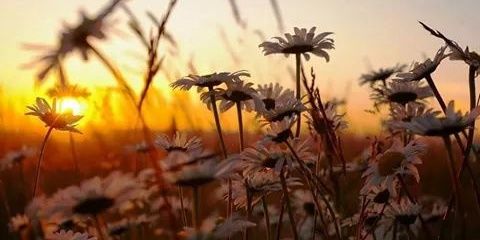 mards_1's profile banner image