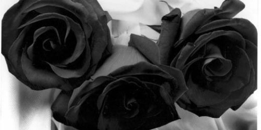 Fat_mad_alone's profile banner image