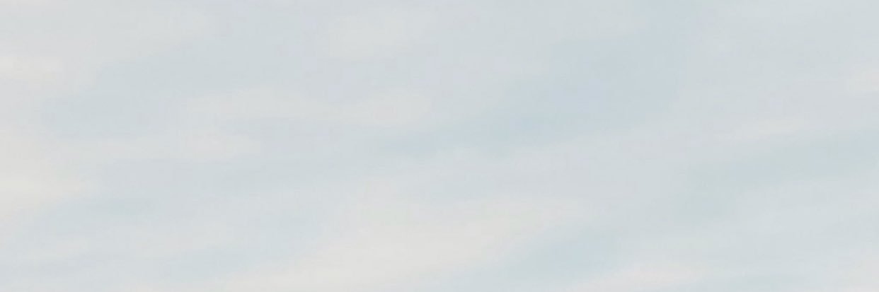 fabiola1D23's profile banner image