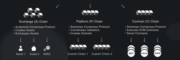 Craig Barlowe🔺 banner