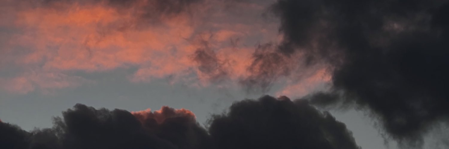 bbdd banner