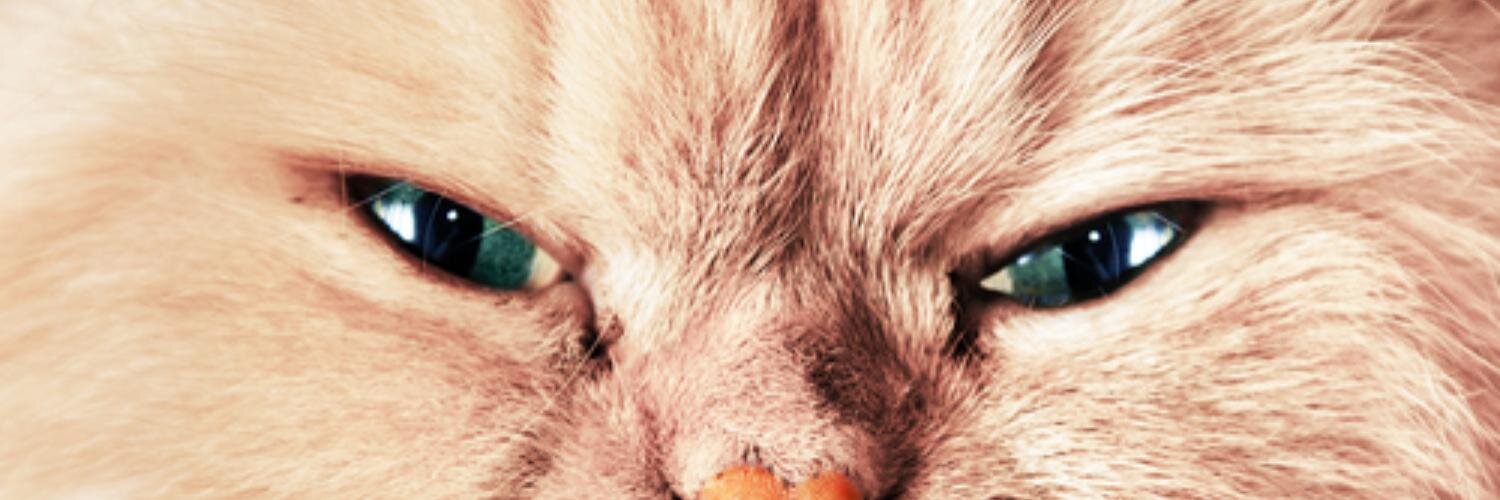 AlexJaffreys's profile banner image