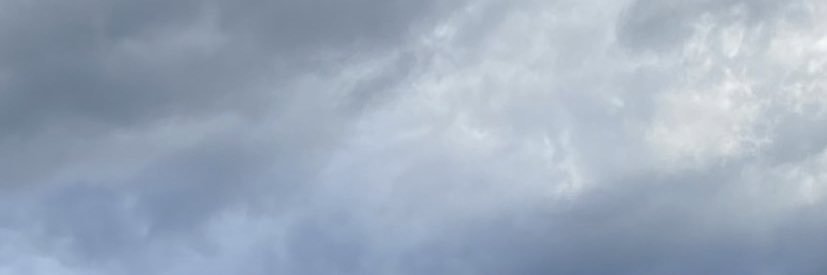 mammeli's profile banner image