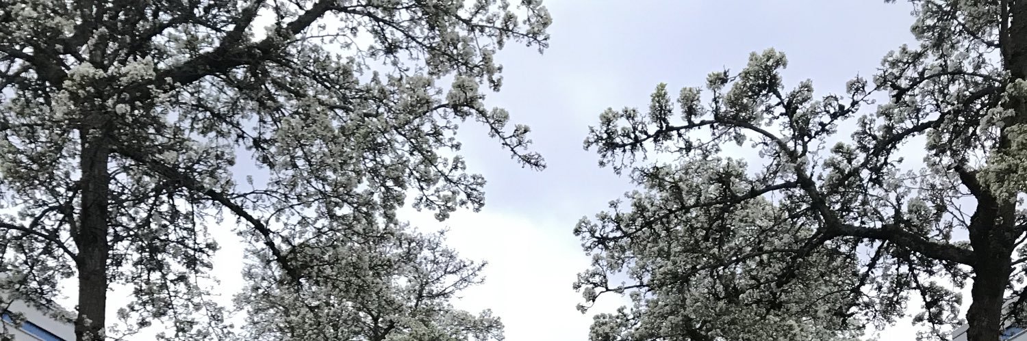 jenostaa7's profile banner image
