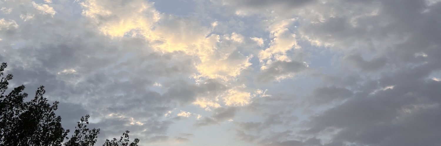 Jaannnnaaaa's profile banner image