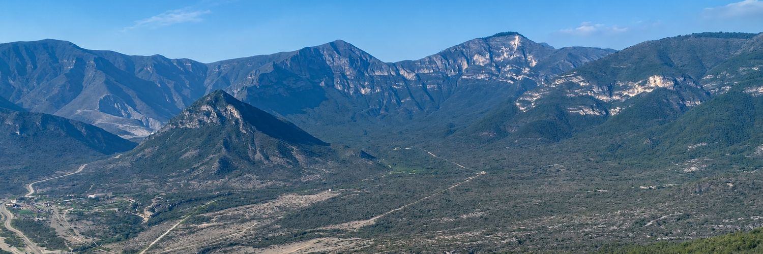 NekooChomusuke's profile banner image