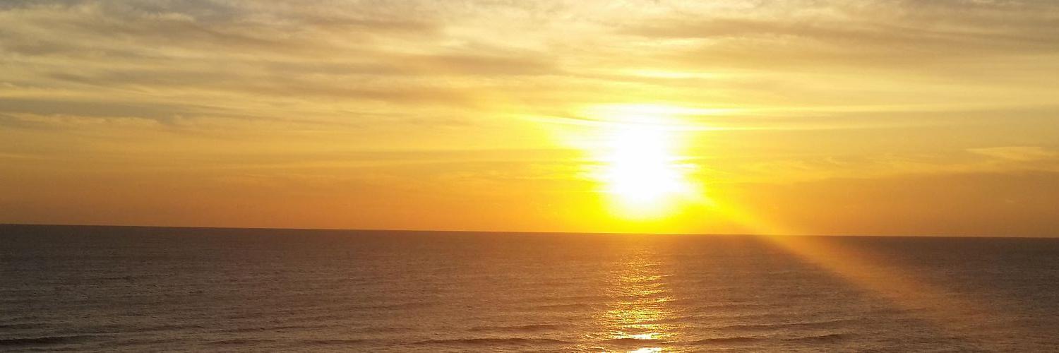 LexiCallies's profile banner image