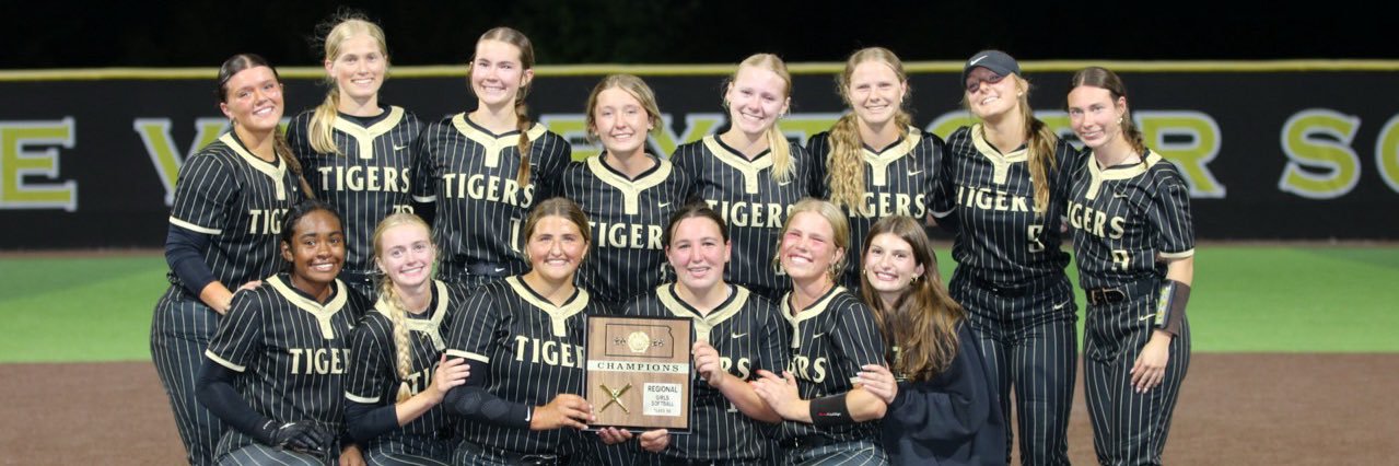 BVTigerSoftball's profile banner image