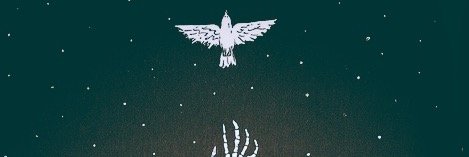 rachlys's profile banner image