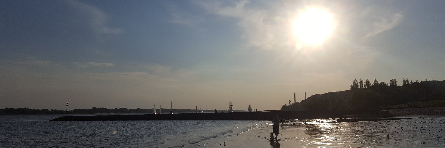 Hans-Werner Sehring banner